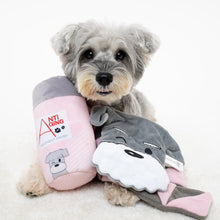 Load image into Gallery viewer, Hide N Seek - Anti Aging Treatment Water