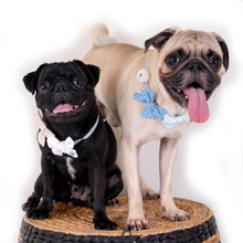 Load image into Gallery viewer, Bow Necklace - Red Dottie