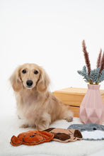 Load image into Gallery viewer, No-Stuffing Poodle Dog Toy