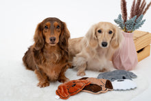 Load image into Gallery viewer, No-Stuffing Poodle Dog Toy