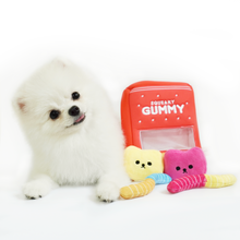 Load image into Gallery viewer, Hide N Seek - Pawribo Gummy Dog Toy