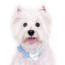 Load image into Gallery viewer, Bow Necklace - Blue Dottie
