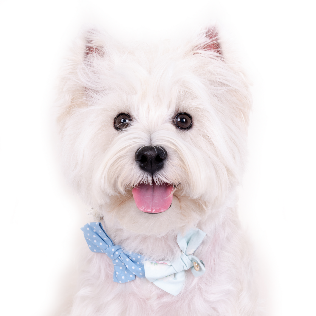 Bow Necklace - Blue Dottie