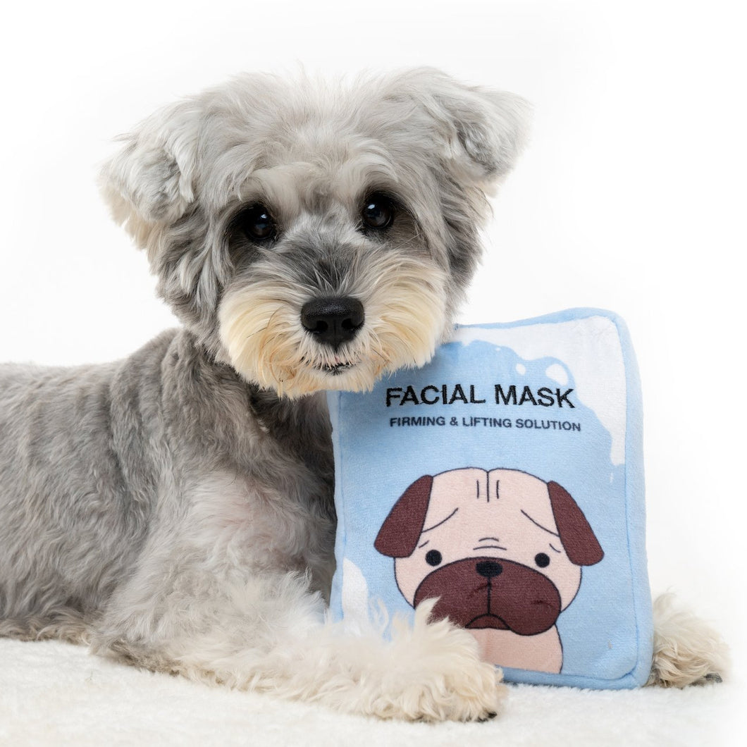 Hide N Seek - Facial Mask Dog Toy