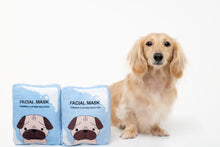 Load image into Gallery viewer, Hide N Seek - Facial Mask Dog Toy
