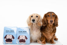 Load image into Gallery viewer, Hide N Seek - Facial Mask Dog Toy
