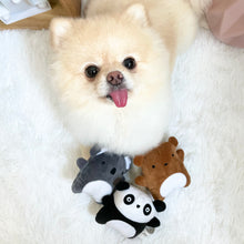 Load image into Gallery viewer, Mini Frenz - Hazel the Koala Dog Toy

