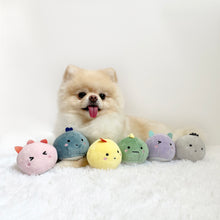Load image into Gallery viewer, Mochi Monsters Dog Toy

