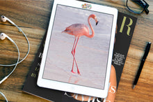 Load image into Gallery viewer, Webcam Privacy Sticker
