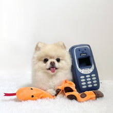 Load image into Gallery viewer, Hide N Seek - Pawkia

