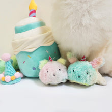 Load image into Gallery viewer, Hide N Seek – Birthday Cake Dog Toy
