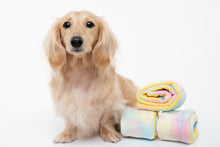 Load image into Gallery viewer, Hide N Seek - Rainbow Swissroll Dog Toy
