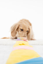 Load image into Gallery viewer, Hide N Seek - Rainbow Swissroll Dog Toy
